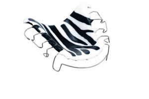 zahnspange zebra